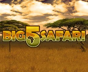 Big 5 Safari
