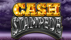 Cash Stampede Cash Stampede