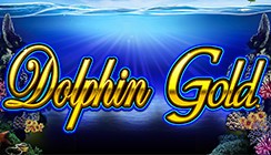 Dolphin Gold Dolphin Gold
