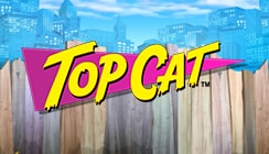Top Cat Top Cat