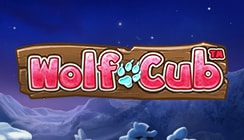 Wolf Cub Wolf Cub