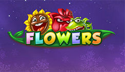 Flowers Flowers