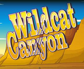 Wild Cat Canyon