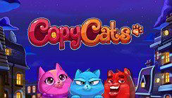 Copy Cats Copy Cats