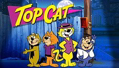 Top Cat Top Cat