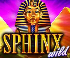 Sphinx Wild