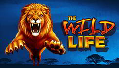 Wild Life Wild Life