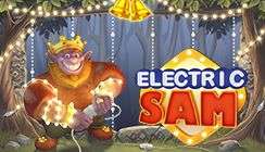 Electric Sam Electric Sam