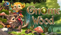 Gnome Wood Gnome Wood