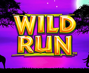 Wild Run