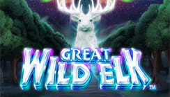 Great Wild Elk Great Wild Elk