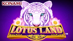 Bingo sites free spins no deposit Bingo sites free spins no deposit
