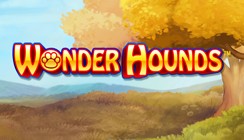Wonder Hounds Wonder Hounds