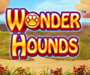 Wonder Hounds