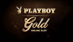 Playboy Gold Playboy Gold