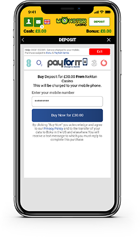 Pay By Phone Bill