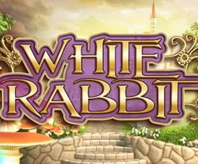 White Rabbit