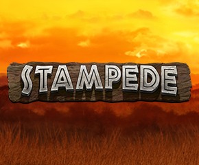 Stampede