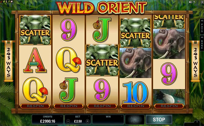 Wild Orient