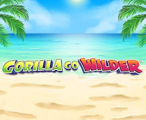 Online gambling spin and win Online gambling spin and win