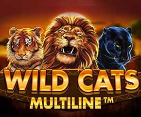 Betsson poker Betsson poker