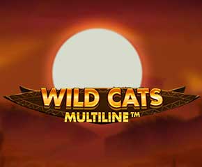 Wild Cats Multiline MUST DROP