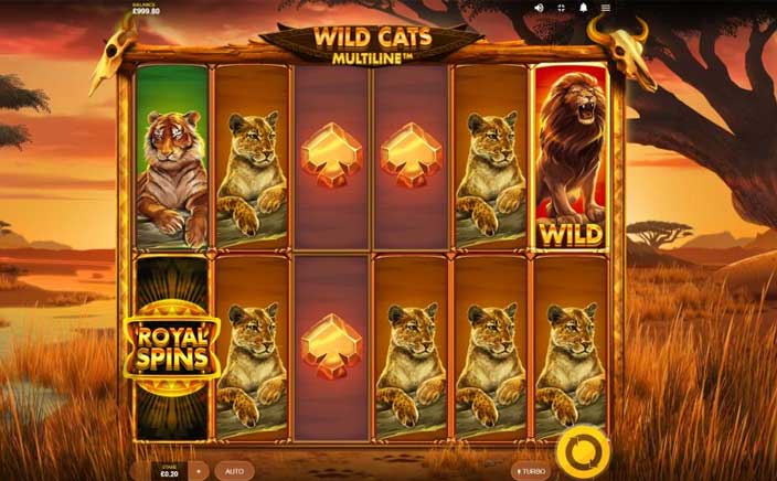 Wild Cats Multiline MUST DROP