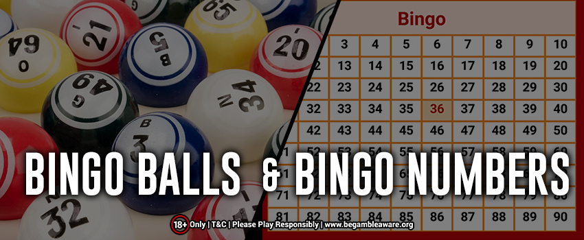 Bingo Numbers and Balls? How are they Different?