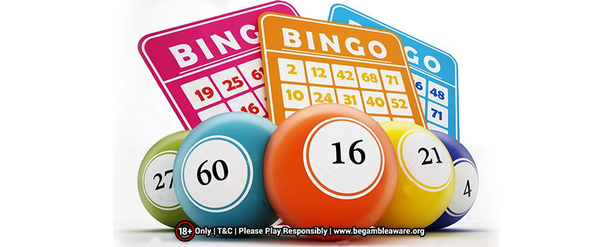 Bingo Numbers and Balls? How are they Different?