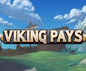 Viking Pay