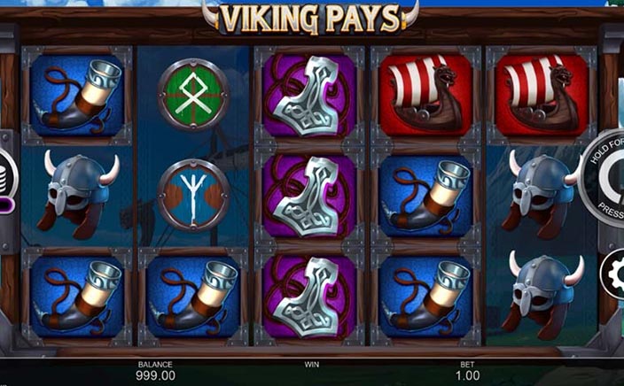 Viking Pay
