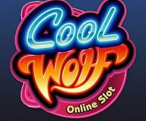 Cool Wolf