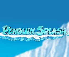 Penguin Splash