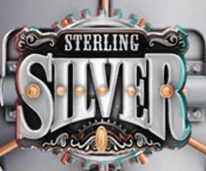 Sterling Silver 3D