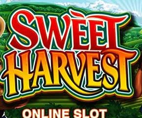 Sweet Harvest