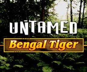 Untamed Bengal Tiger