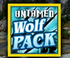 Untamed Wolf Pack