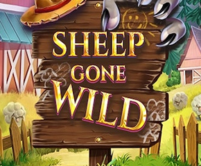 Sheep Gone Wild