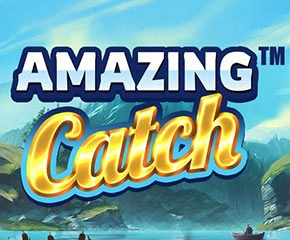 Amazing Catch