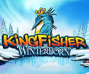 Kingfisher Winterborn