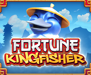 Fortune Kingfisher