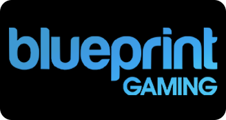 Developer