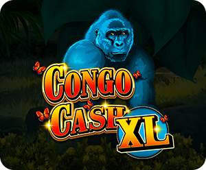 Congo Cash XL