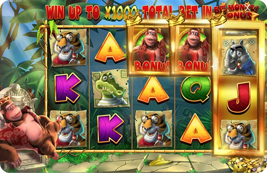 King-Kong-Cash